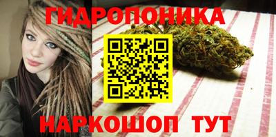 шишки Ливны