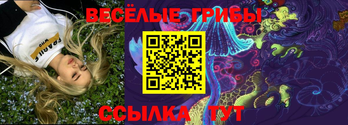 Галлюциногенные грибы ЛСД Каменск-Шахтинский